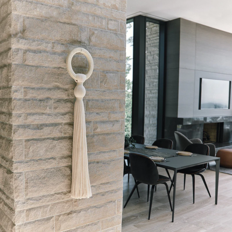 Sansevieria Wall Hanging